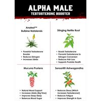 Alpha Male Testosterone Booster
